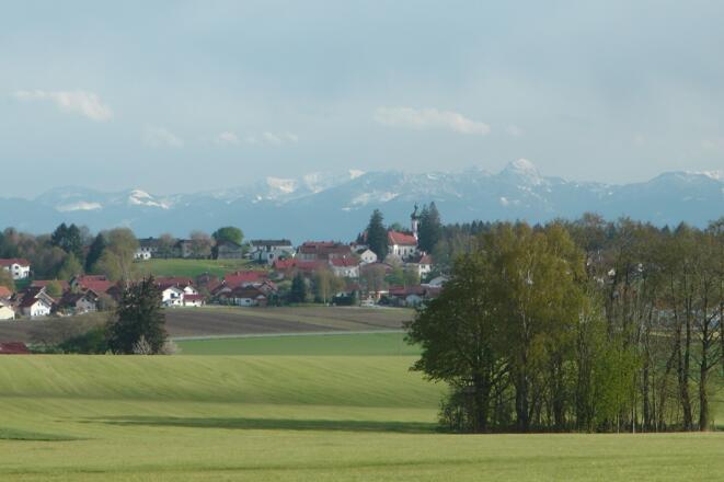 Maitenbether Kleeblatt