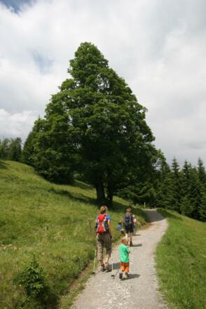 Weiterweg Richtung Freibergsee