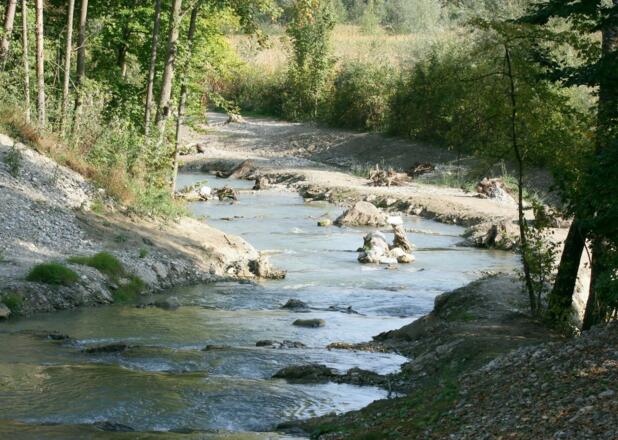 Fischtreppe Jettenbach