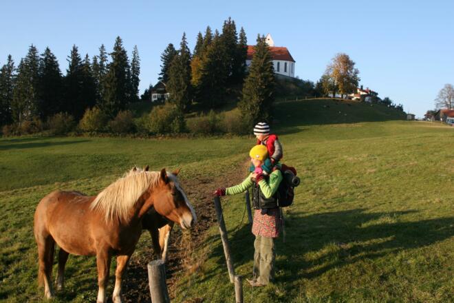 Pferdekoppel kurz vor der Gipfel-Kirche