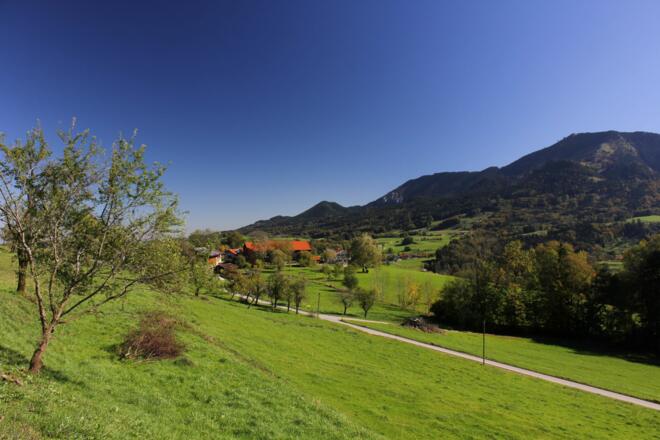 Der wieder breite Rückweg (hinten die Hochries)