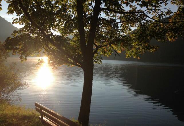 Am See