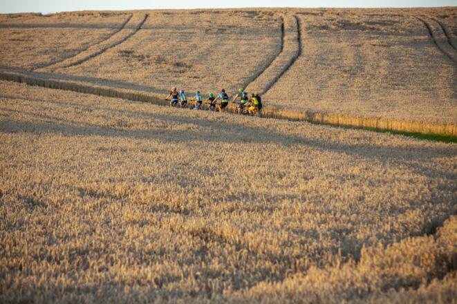 Radfahrer im Holzland