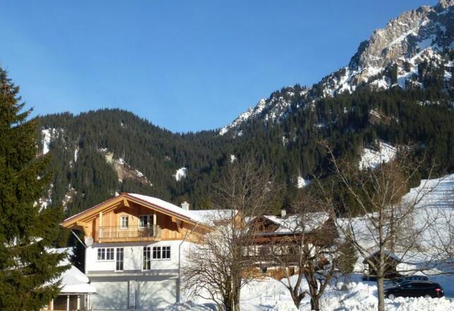 Blick von der Loipe auf die Fewo 1