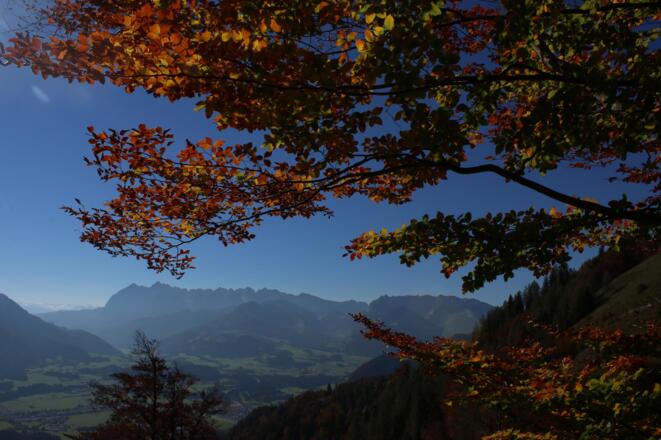 Blick zum Wilden Kaiser