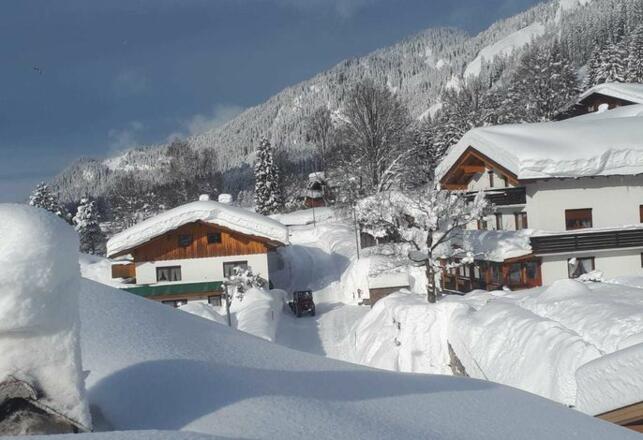 Haus Hornstein Tamara