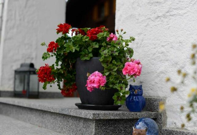 Aussenansicht im Sommer