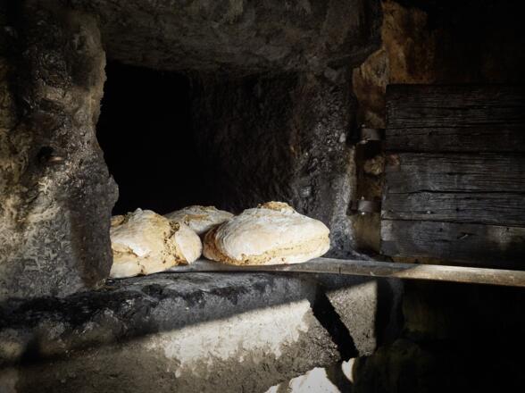 Speck-Alm_Bad Kreuzen_151104_538©WGD Donau Oberösterreich Tourismus GmbH-Peter Podpera