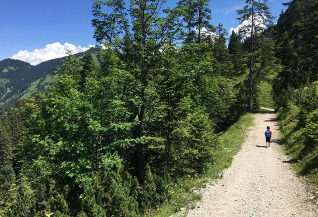 Hotel Sonnenhof ****S