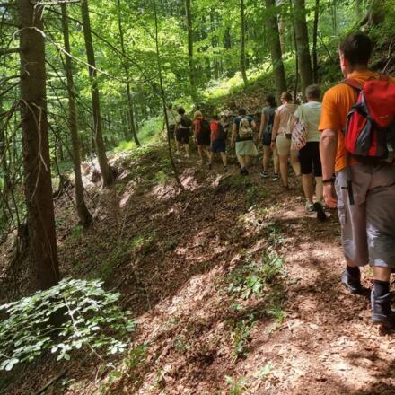 Kräuterwanderung mit NaturGfüh
