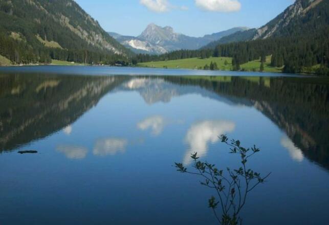 Fewo Löffler   Haus Tina