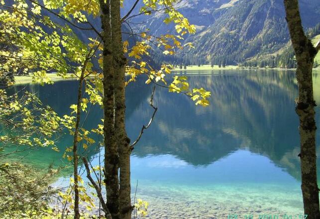 Vilsalpsee