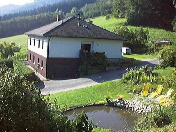 Teich