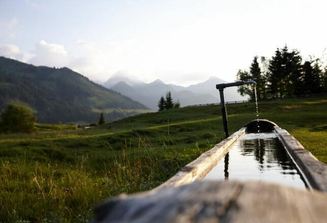 Hotel Sonnenhof ****S