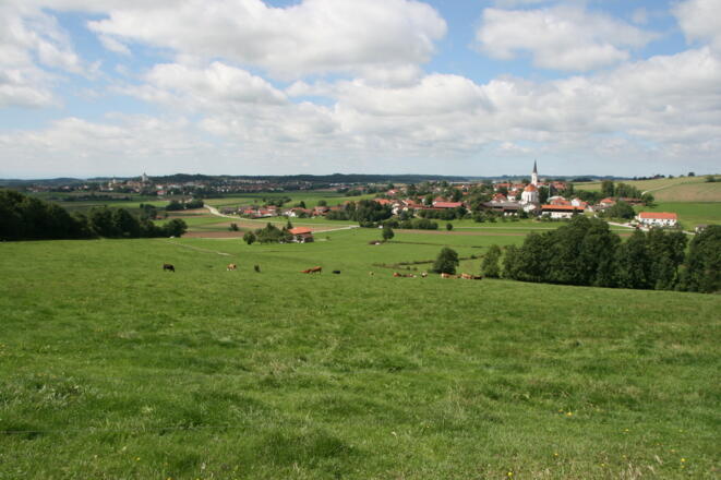 Aussicht ins Haager Land