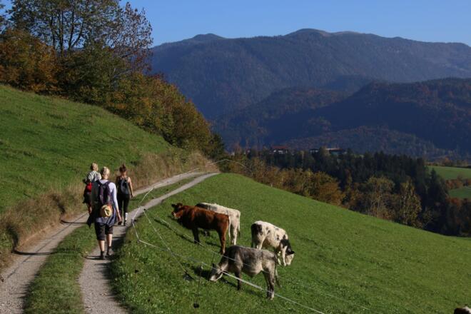 Abstieg Taubenseehütte