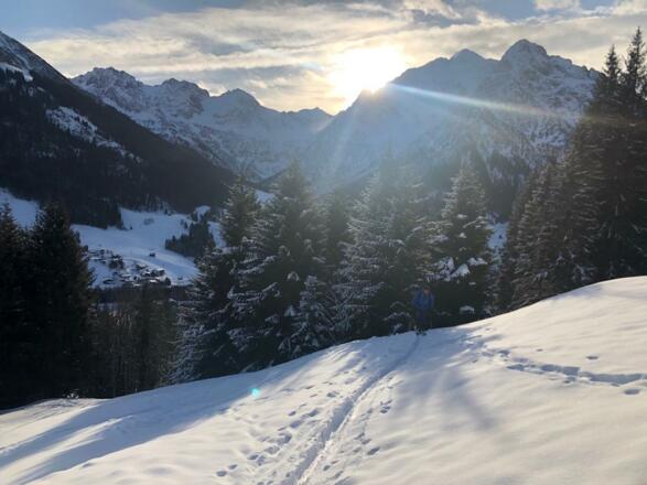 b54298f5-696c-4091-8547-a5fc905c6772