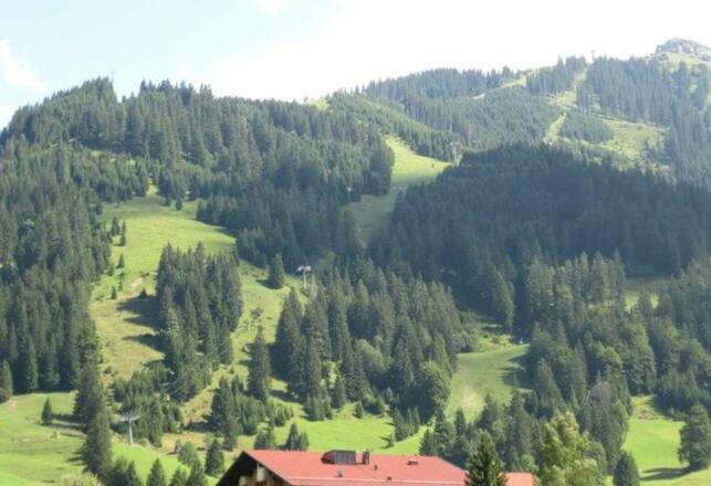 Blick zum Neunerköpfle der Seilbahn und dem Skigebiet
