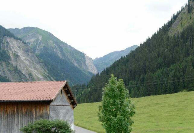 Aussenansicht im Sommer
