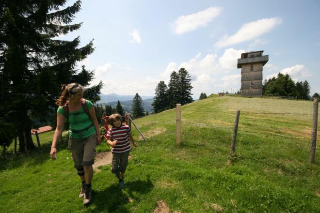 Der Aussichtstturm am Hauchenberg