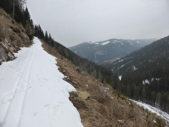 Forststraße zur Bonner Hütte