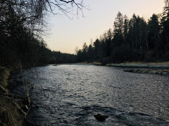 Alz bei Hohenwart am Abend