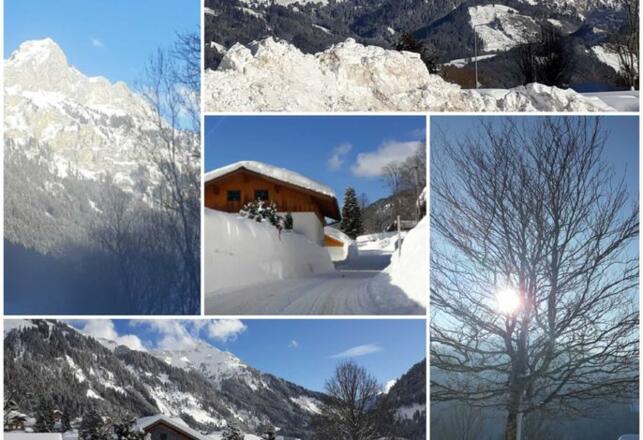 Haus Hornstein Tamara