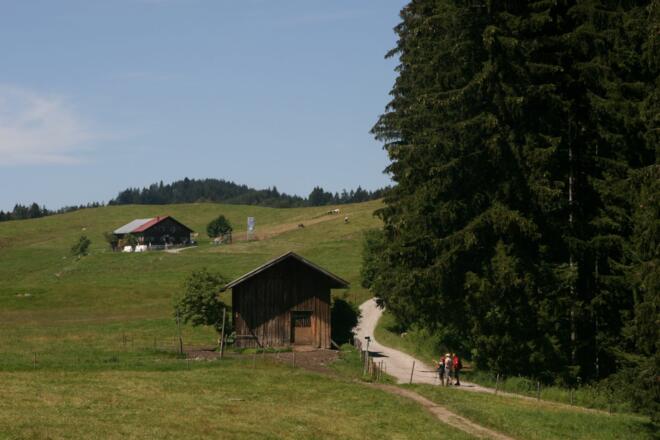 Die Siedelalpe kommt ins Blickfeld