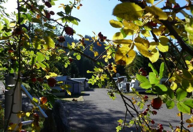 goldener Oktober