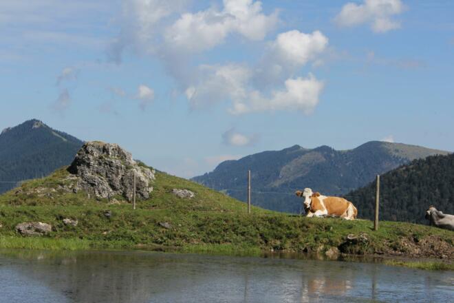 Teich bei der Kranzhorn Alm