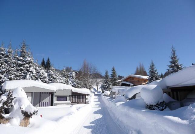 Wintertraum