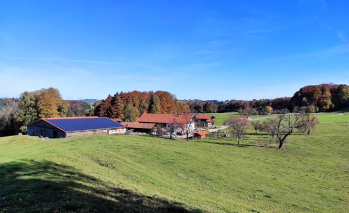 Blick von Westen auf Stall und Bauernhaus