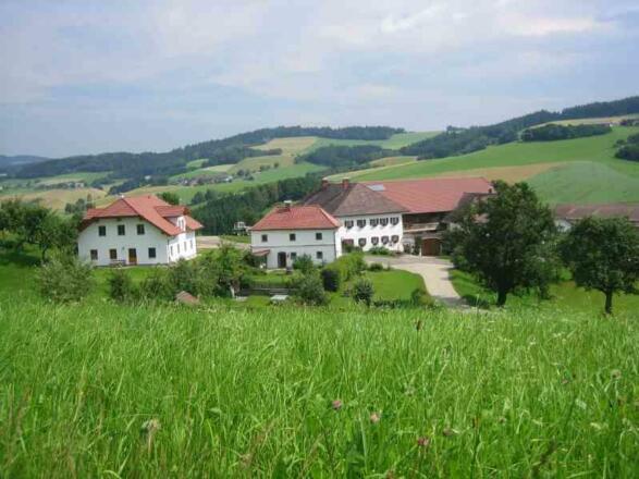 Biohof Kainberger
