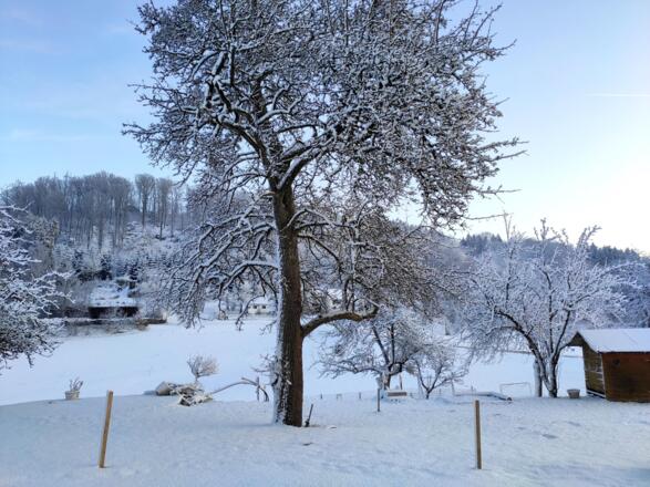 Sonnenuntergang im Winter