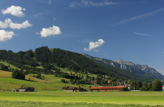 Der Buchenberg vom Tal aus