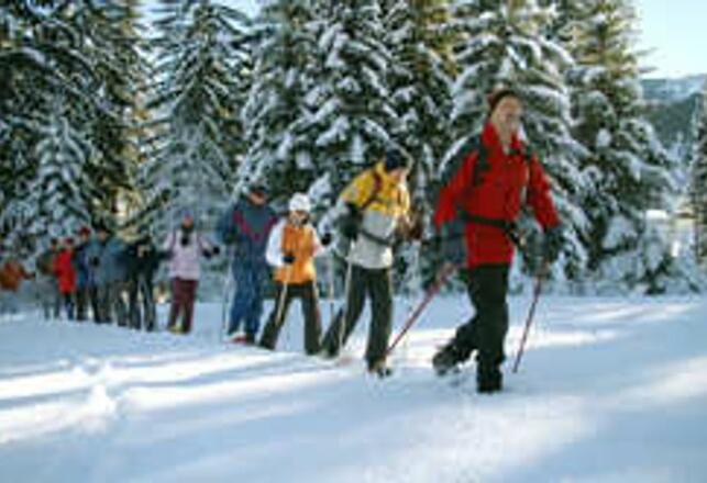 Sonnenliegen auf der Terrasse