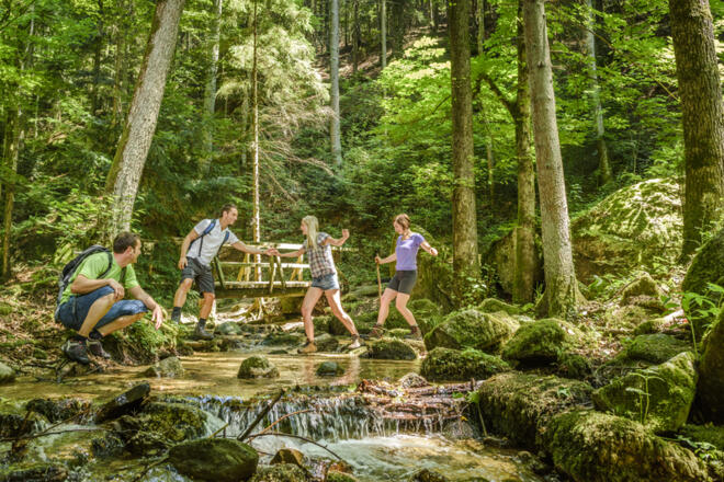 Wandern am Donausteig