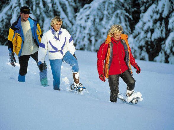 Nordic Walking