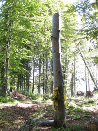 Wanderschild zur Bärenhöhle