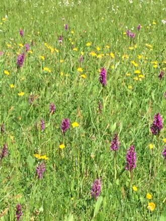 dc418f13-d61c-4d85-a596-bdaa3aefc4b1