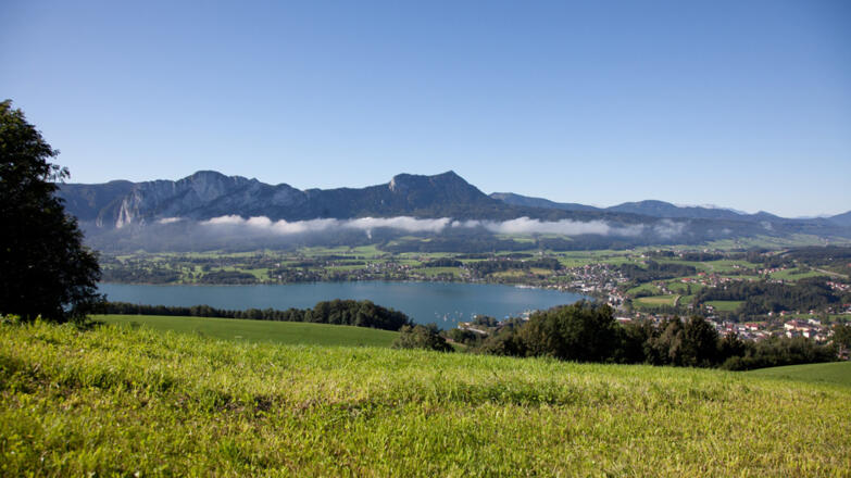 Ausblick