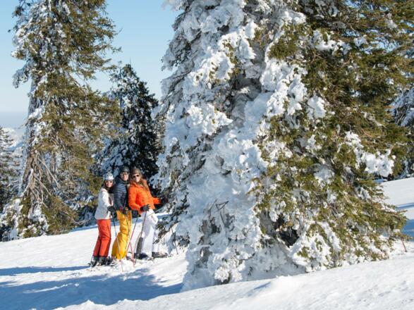 Skibus Kasberg