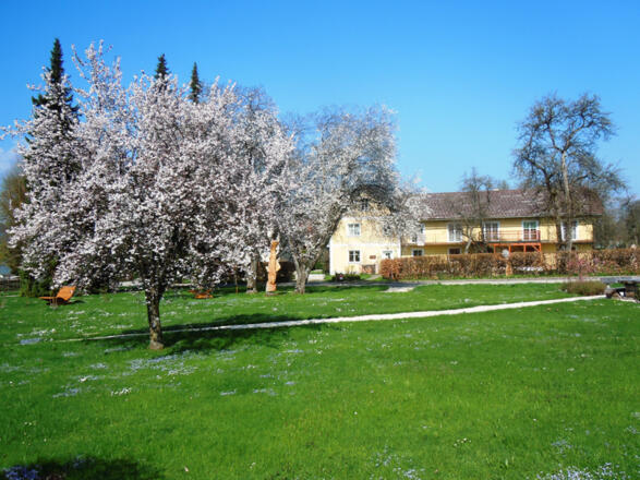 Haus mit Park