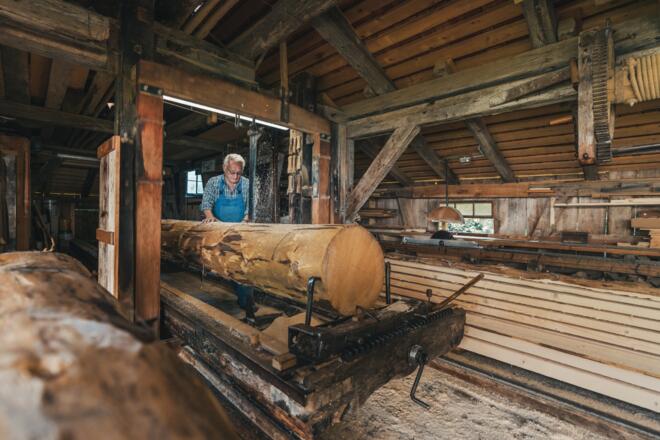 Alte Säge Mülli Ferdi - Hubert Loretz
