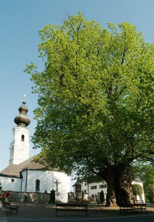 Kirchturm bei Abendstimmung