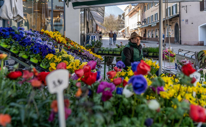 Gärtner Alex Cramer auf dem Berchtesgadener Wochenmarkt