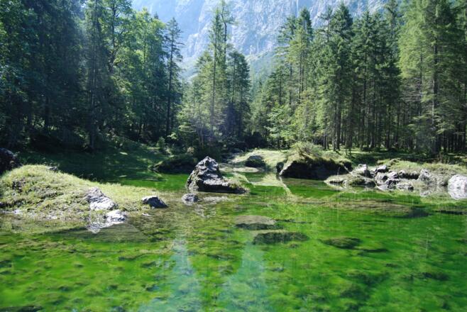 Weg zum Hinteren Gosausee