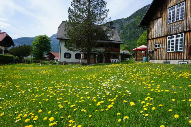 Haus Haider