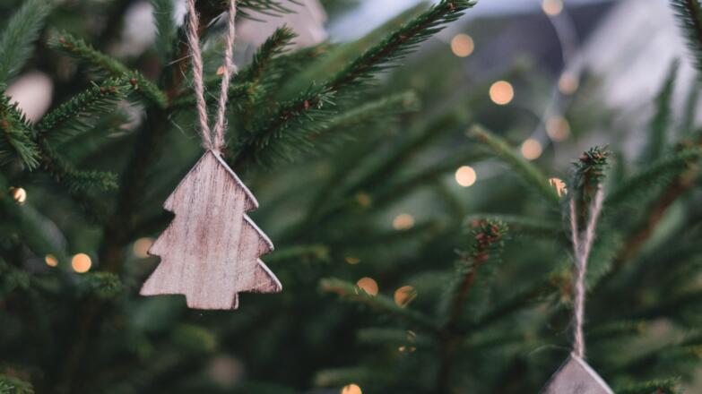 2S-Christbaumverkauf-Fotocredit-unsplash-annie-spratt