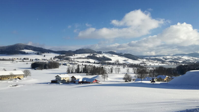 Landschaft